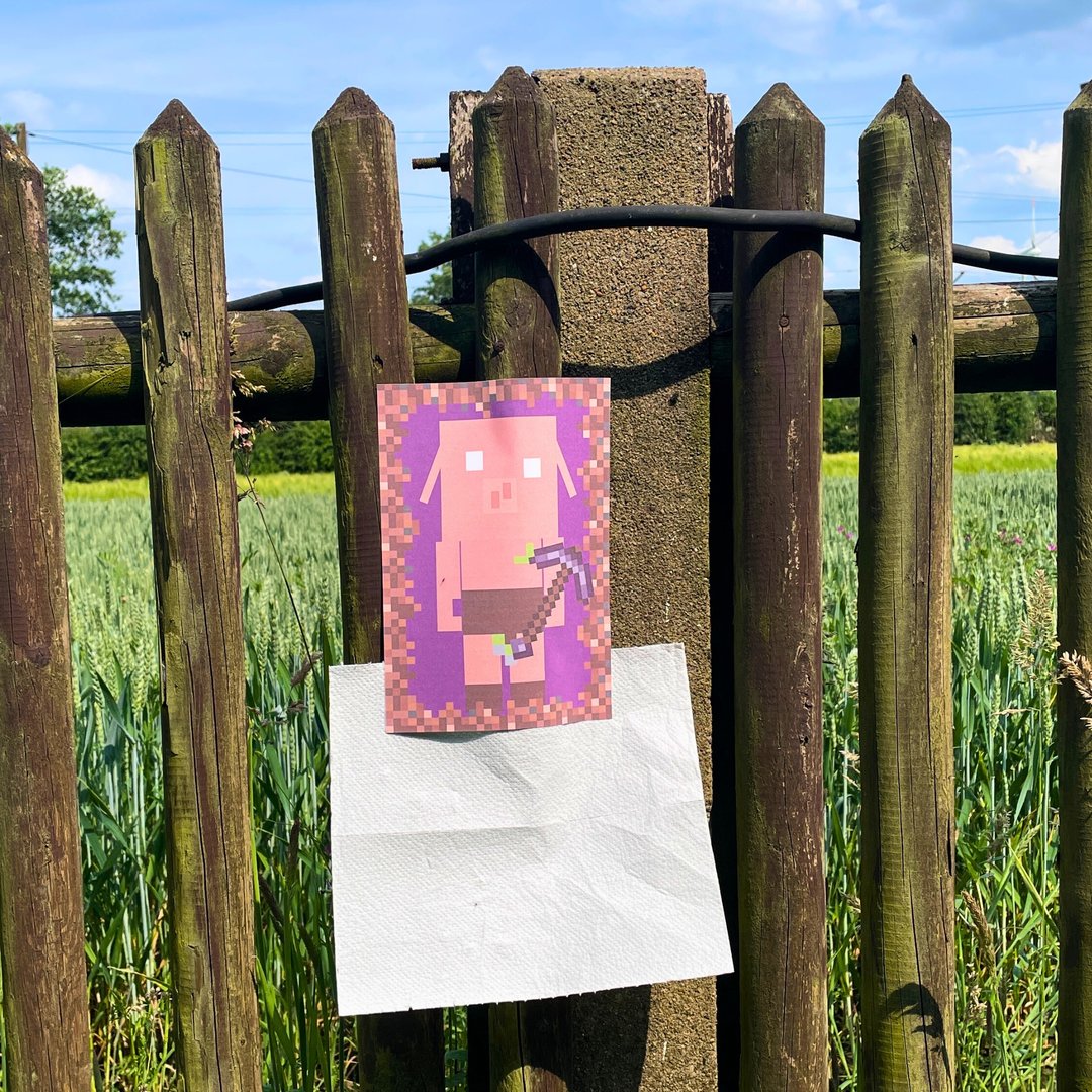 Block Kindergeburtstags Party - Kampf gegen Piglins Spiel - elmiki.de